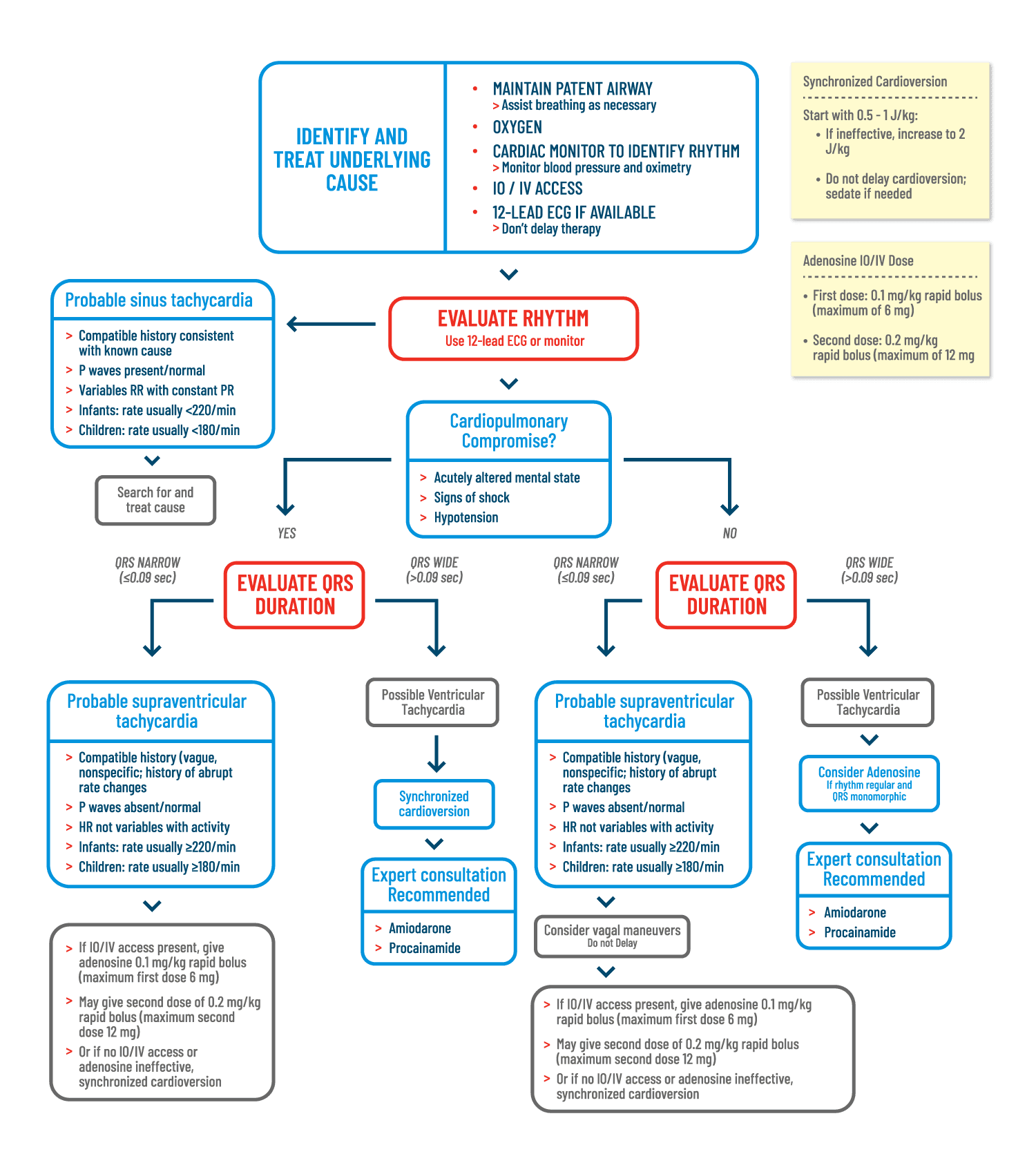 ProMed Certifications Algorithms | Pediatric Tachycardia With A Pulse ...