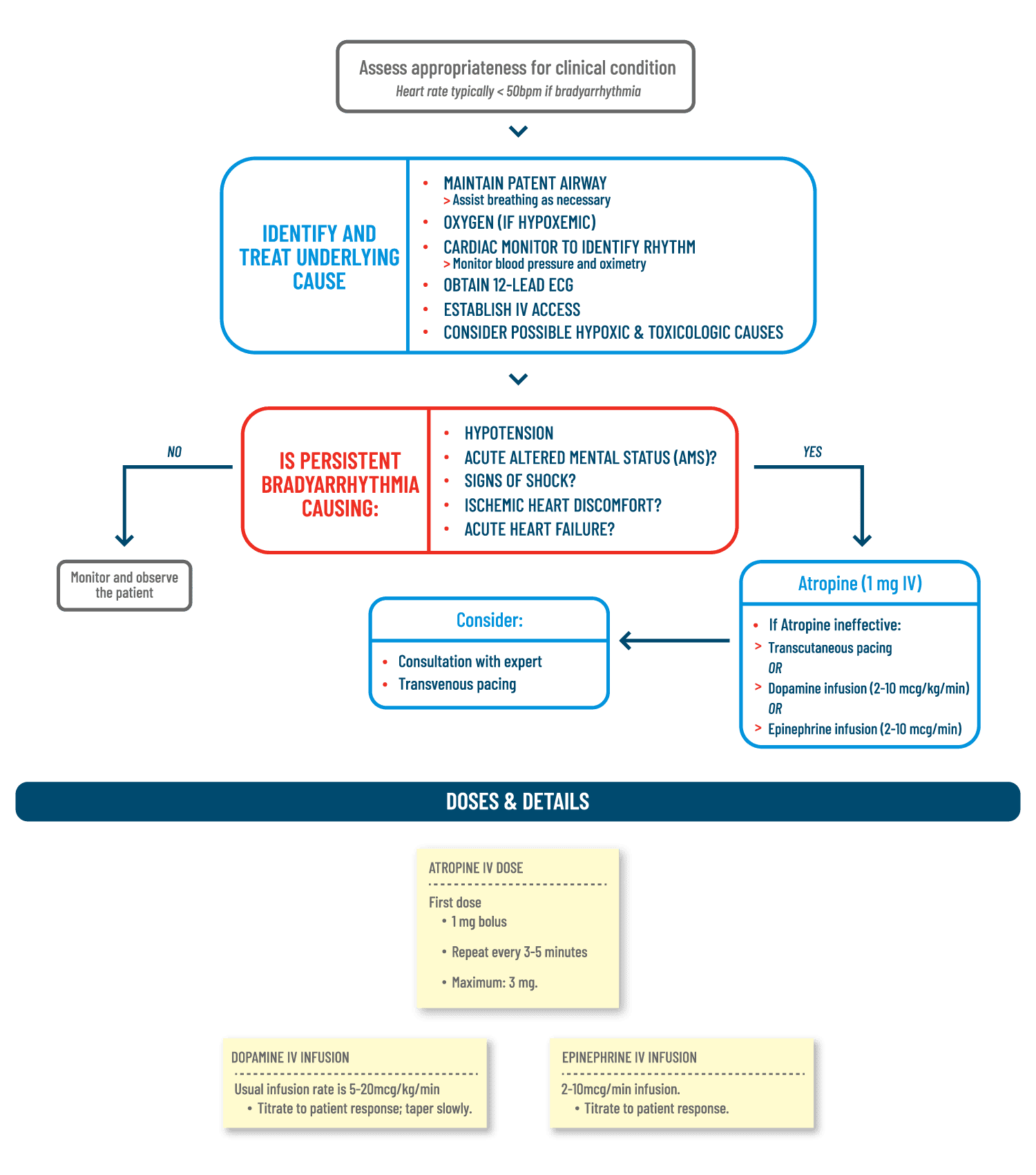 ProMed Certifications Algorithms Bradycardia With A Pulse ACLS Algorithm